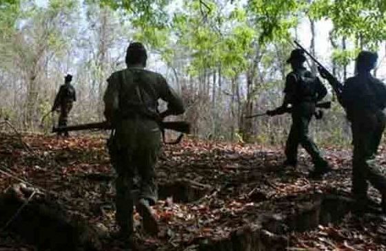 Maoist killed in gunfight with forces in Malkangiri