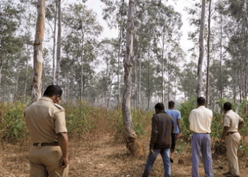 Naked headless body recovered from Patna jungle in Koenjhar district, murder suspected