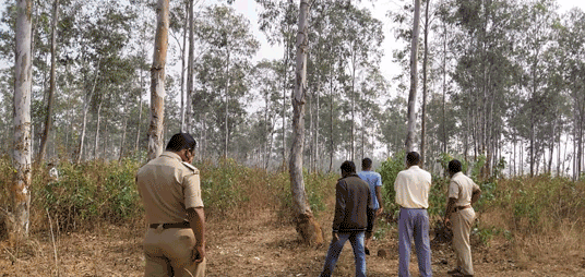 Naked headless body recovered from Patna jungle in Koenjhar district, murder suspected