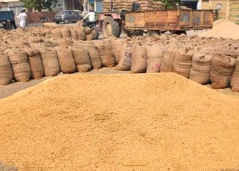 Odisha to implement MNI to promote inter mandi, inter state trade of agricultural produce