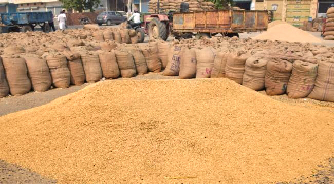 Odisha to implement MNI to promote inter mandi, inter state trade of agricultural produce