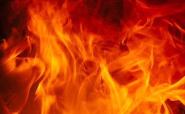 Fire breaks out at Botanical Garden near Nandankanan