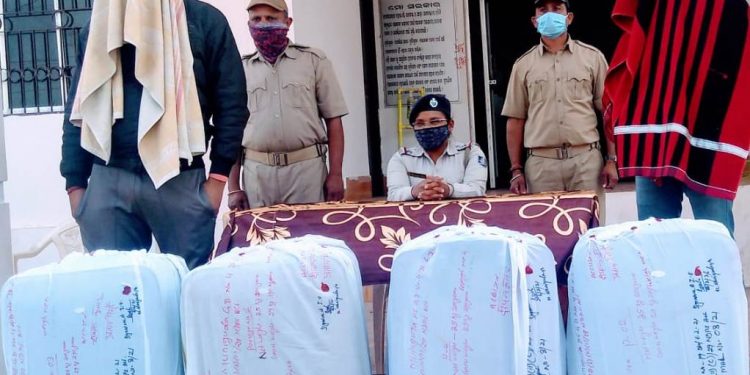 Ganja worth Rs 5 lakh seized, two arrested in Rayagada