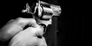 Gun