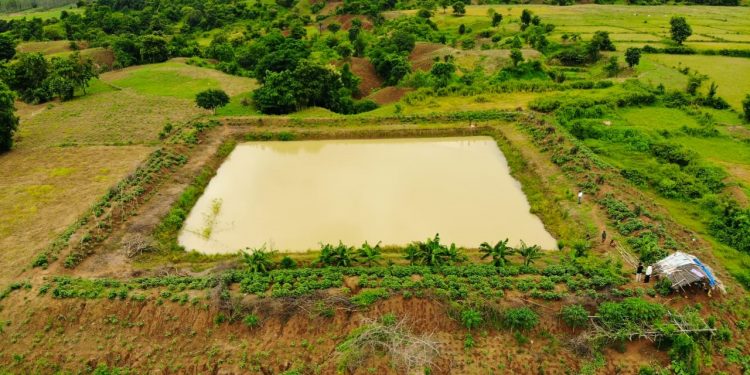 Jagili scripts farming success, courtesy farm pond
