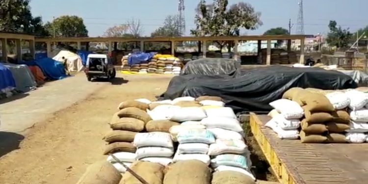 Probe begins into procurement scam