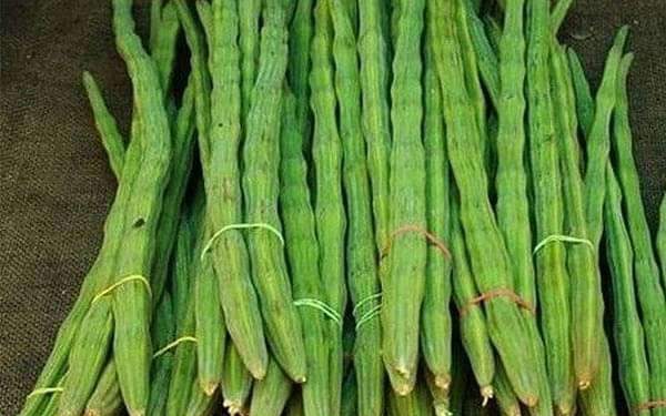 Pic Credit: nurserylive.com