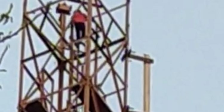 4-year-old child climbs atop 200-metre high mobile tower, miraculously rescued