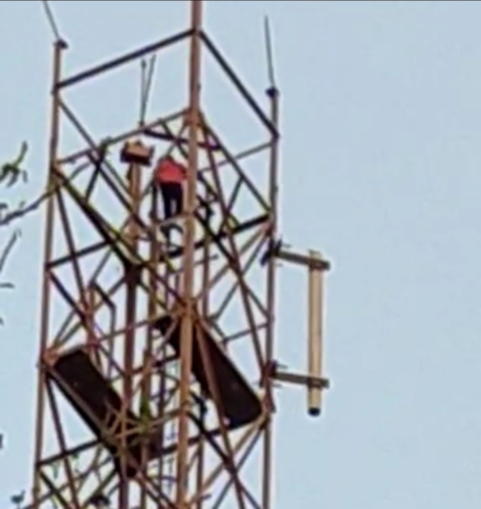 4-year-old child climbs atop 200-metre high mobile tower, miraculously rescued