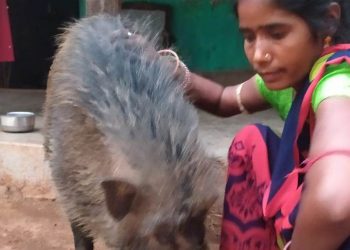 Amidst man-animal conflicts, this story of heartwarming man-animal bond will make your day