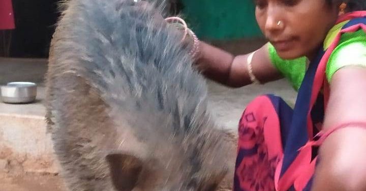 Amidst man-animal conflicts, this story of heartwarming man-animal bond will make your day