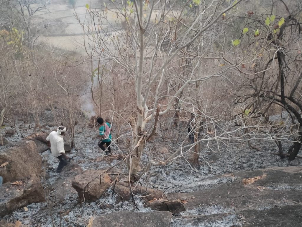 Fires damage 68 spots in Bolangir