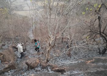 Fires damage 68 spots in Bolangir