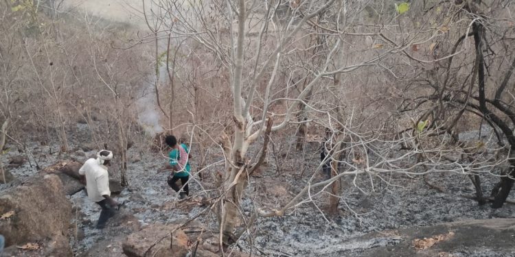 Fires damage 68 spots in Bolangir