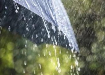 Light rain likely for next 3 days