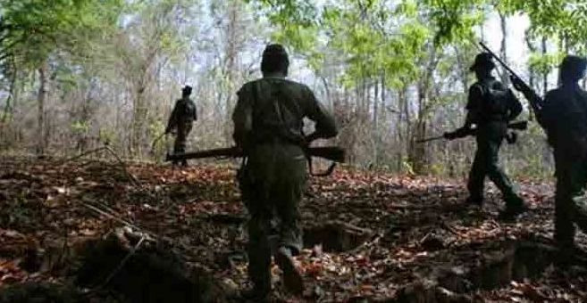 Maoist den busted after gunfight in Malkangiri