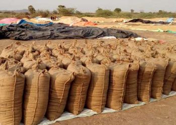 Paddy procurement