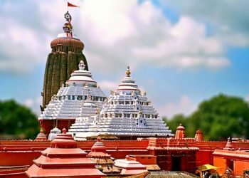 Srimandir servitor injured as idol falls on him inside temple