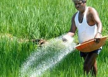 Unscientific fertilizer use threat to farmlands, humans