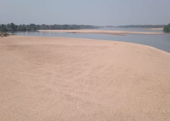 Water crisis looms large in Mahanadi, Brahmani river systems