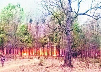 Wildfires still raging in Similipal, Kuladiha