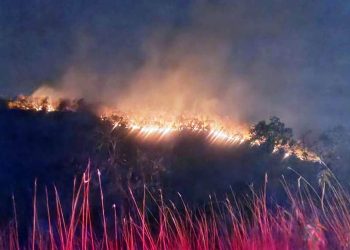 Wildfires threaten Kutra forests