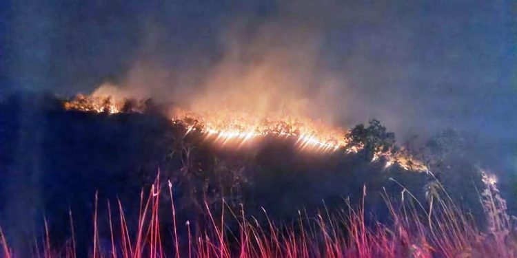 Wildfires threaten Kutra forests
