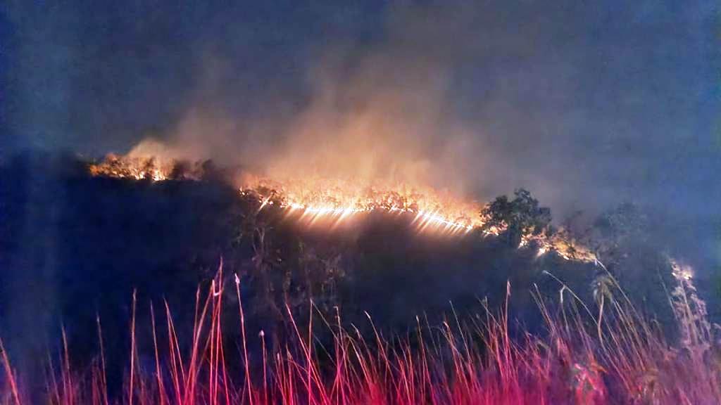 Wildfires threaten Kutra forests