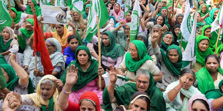 Women farmers