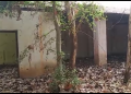 Junagarh skill training institute defunct