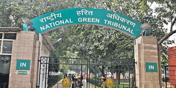 NGT orders probe into Mahanadi sand mining