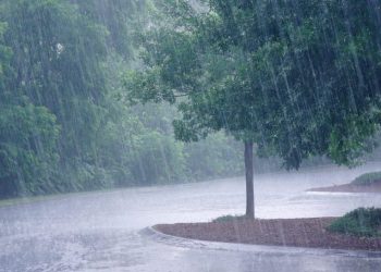 Nor’wester rain to lash Odisha April 15, 16