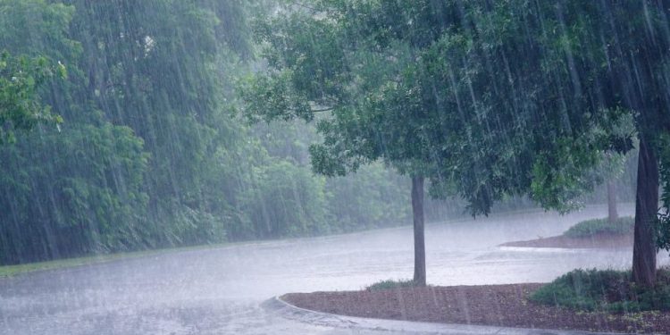 Nor’wester rain to lash Odisha April 15, 16
