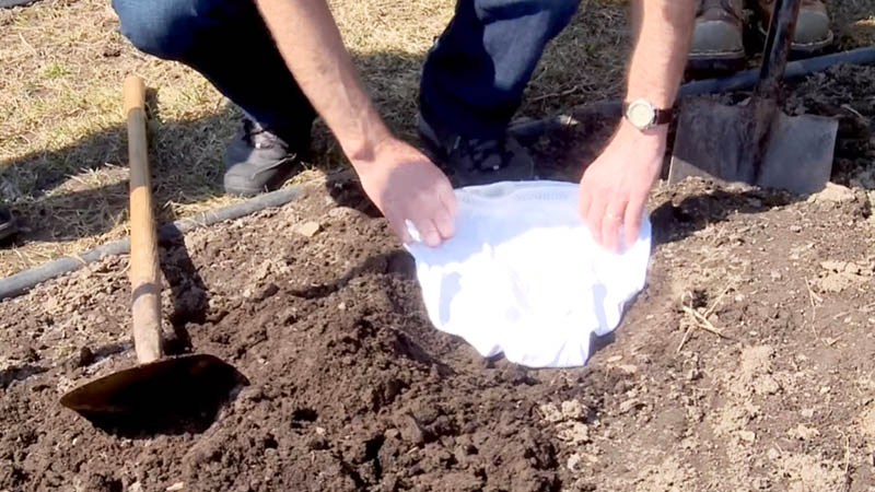 In Switzerland, people bury their underwear; here's the reason