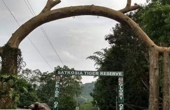 10 forest personnel at Satkosia forest reserve test positive for COVID-19