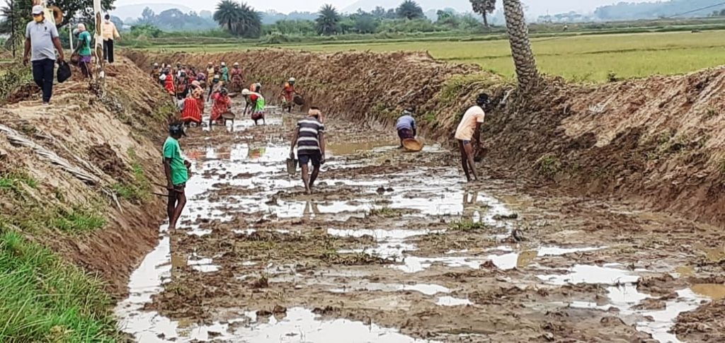 2.60cr man-days generated by Odisha under MGNREGA