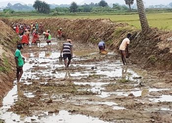 2.60cr man-days generated by Odisha under MGNREGA