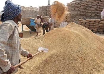 4.25L tonne rabi crops procured from 14 dists