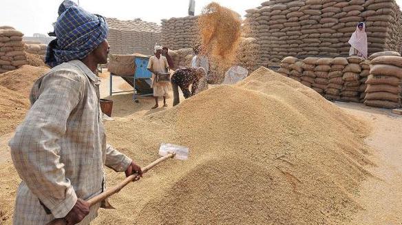 4.25L tonne rabi crops procured from 14 dists