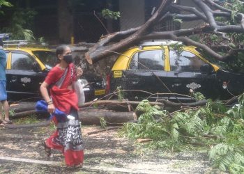 Cyclone Tauktae in Karnataka