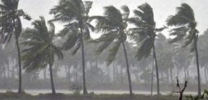 Cyclone Yaas Low pressure system to concentrate into depression in next 12 hours