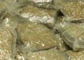 Over 128 kg of ganja seized from goods vehicle in Koraput, two detained
