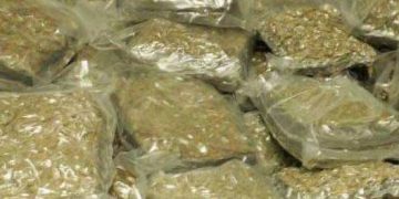 Over 128 kg of ganja seized from goods vehicle in Koraput, two detained