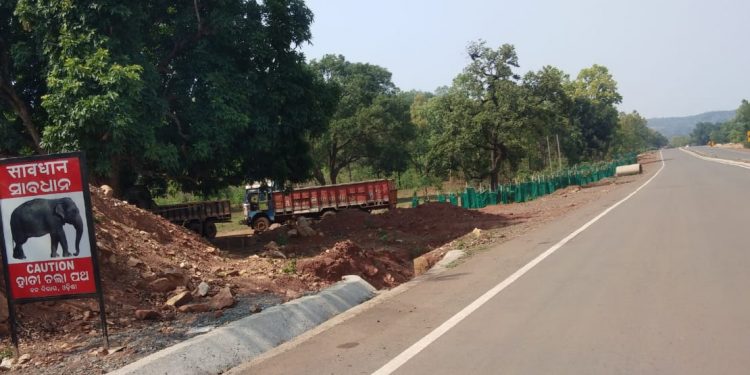 Parking yard in jumbo corridor poses threat to animals