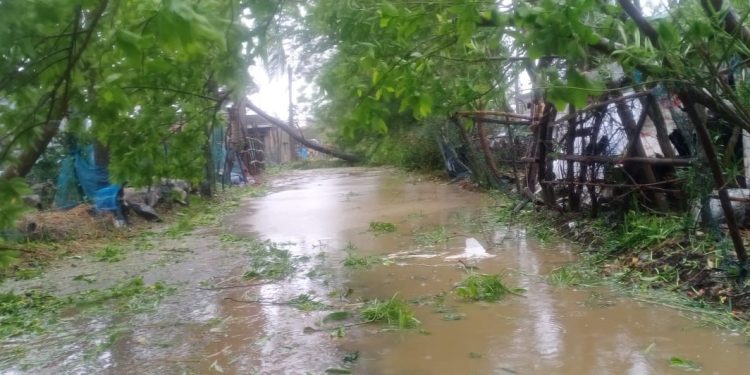 People affected by high tide in Bhadrak district to get food for three days