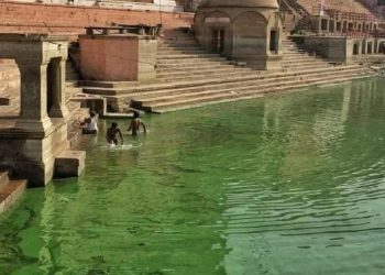 Green Ganga in Varanasi. Pic- IANS