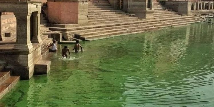 Green Ganga in Varanasi. Pic- IANS