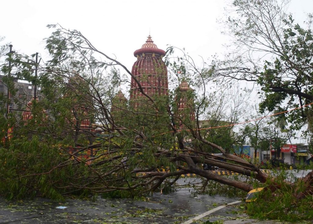 Remembering ‘Cyclone Fani’ with a tinge of fear