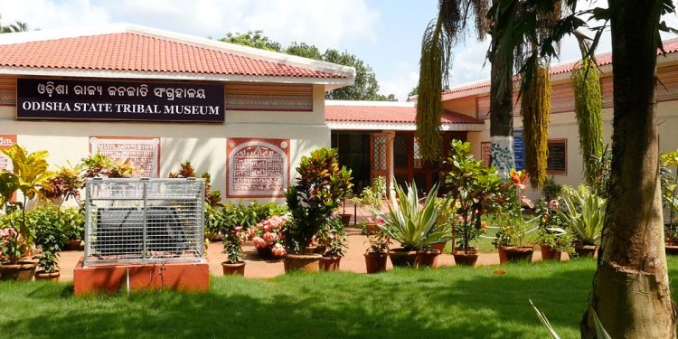 Virtual tour of Tribal Museum every Sunday