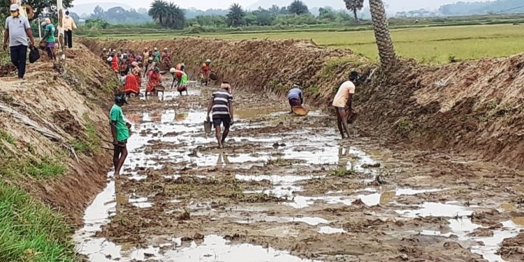 Ganjam tops in person-days creation under MGNREGA